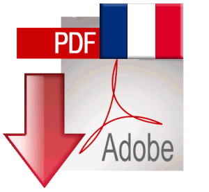 Download PDF