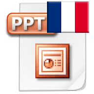 Download Presentation in French